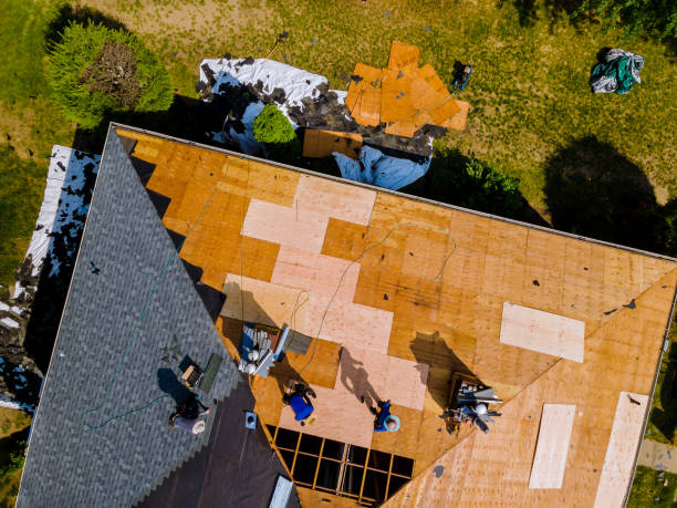 Quick and Trustworthy Emergency Roof Repair Services in Ponchatoula, LA
