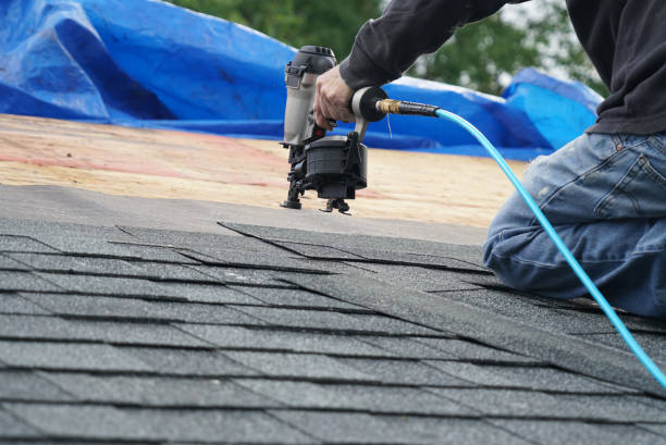 Best Roof Gutter Cleaning  in Ponchatou, LA
